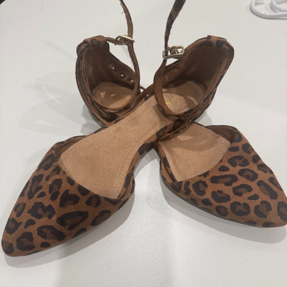 Cheetah Flats